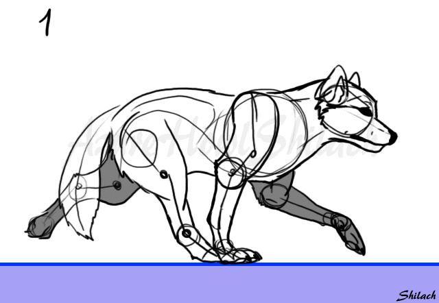 quadruped