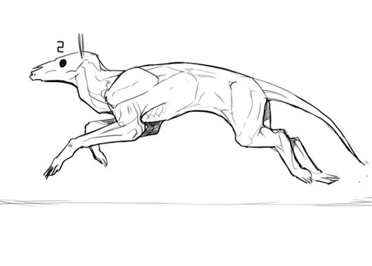 quadruped